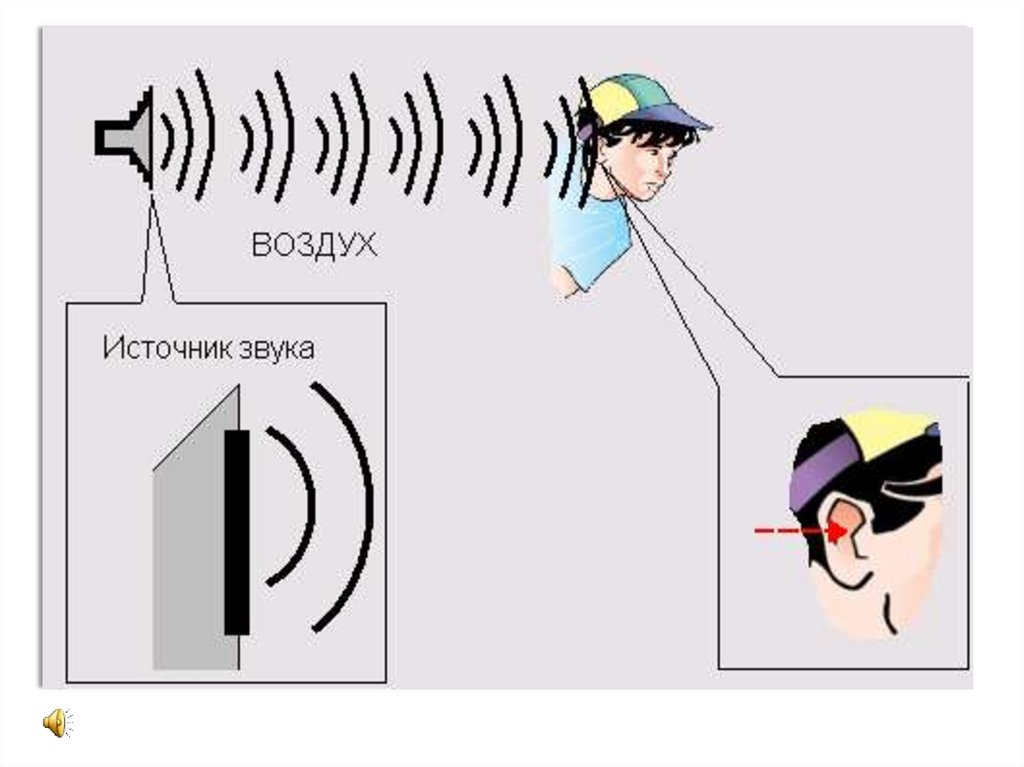 Откуда звук. Схема распространения звука. Звук звуковые волны физика. Звуковые колебания физика. Распространение звука физика.
