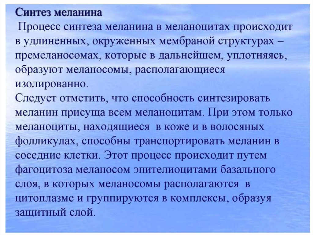 Меланин синтезируется в