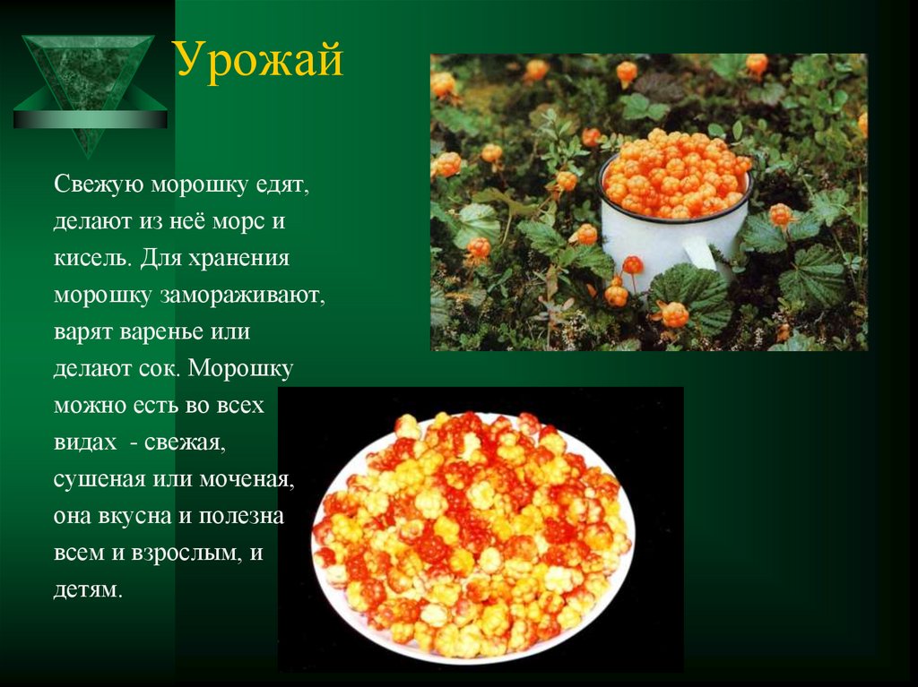 Морошка пироги с морошкой