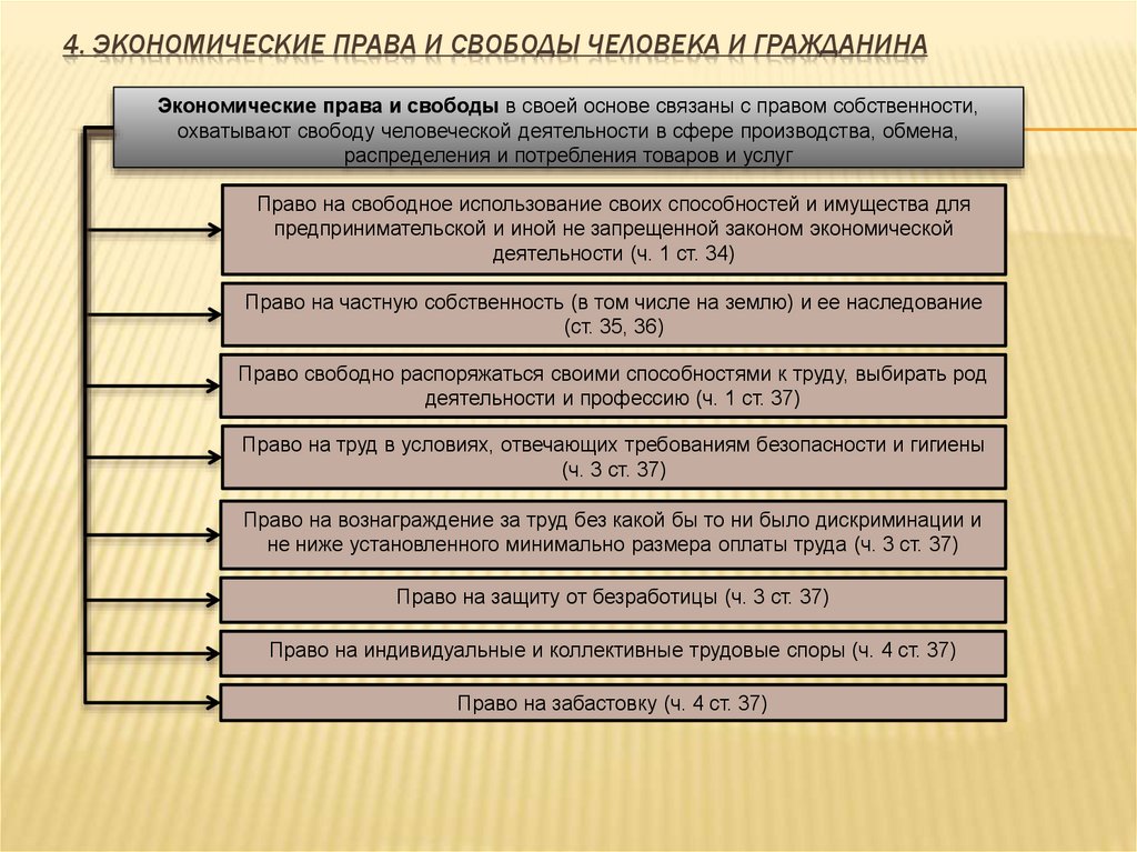 Экономические права и свободы граждан план