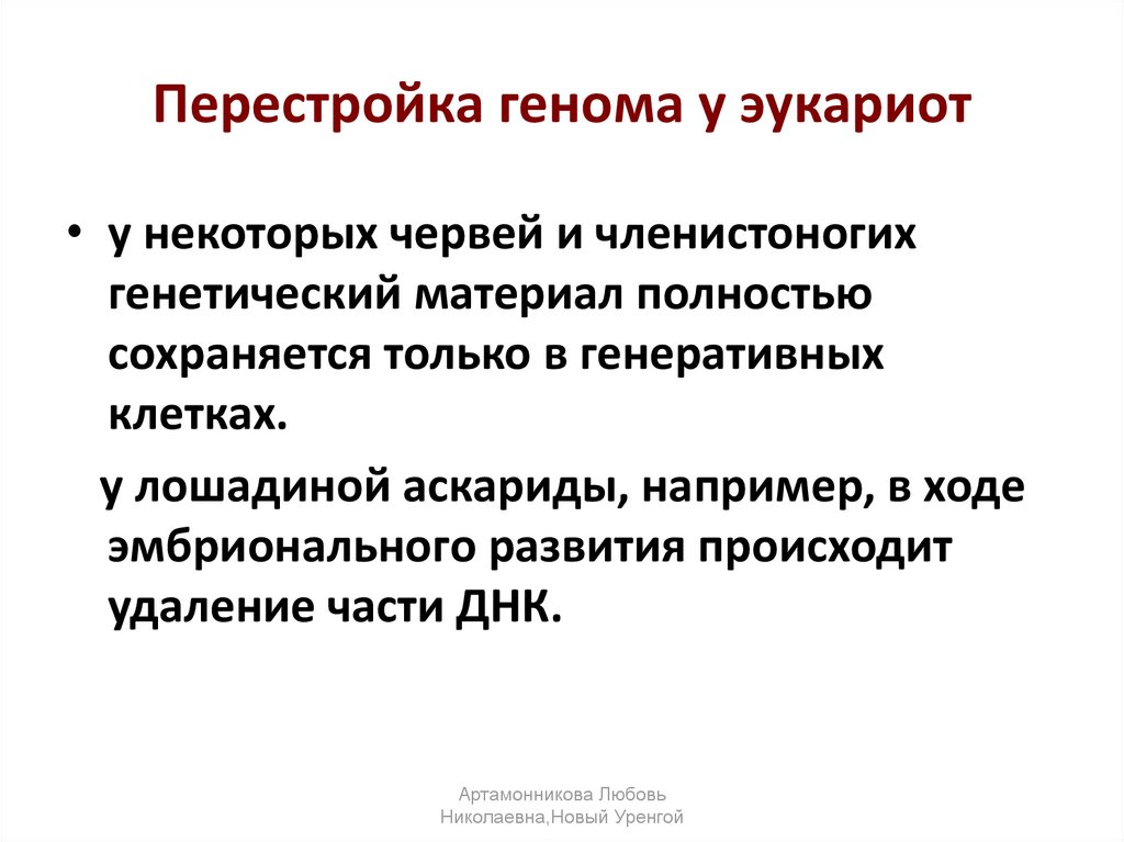 Перестройка генома в онтогенезе презентация 10 класс