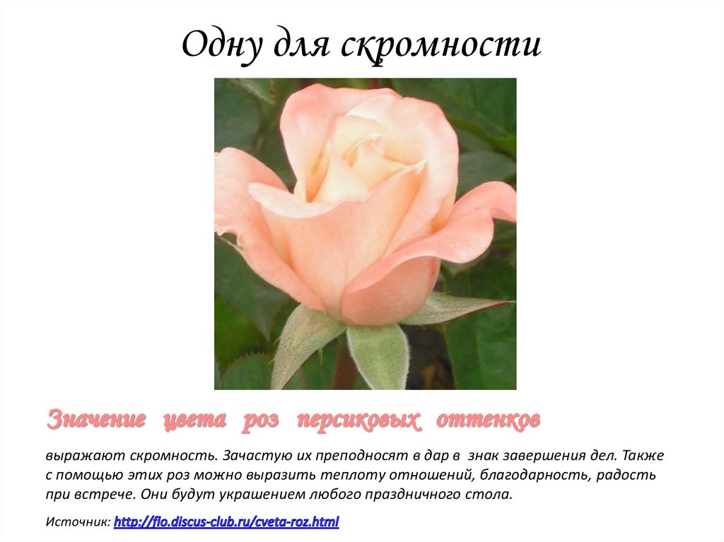 Одну для скромности