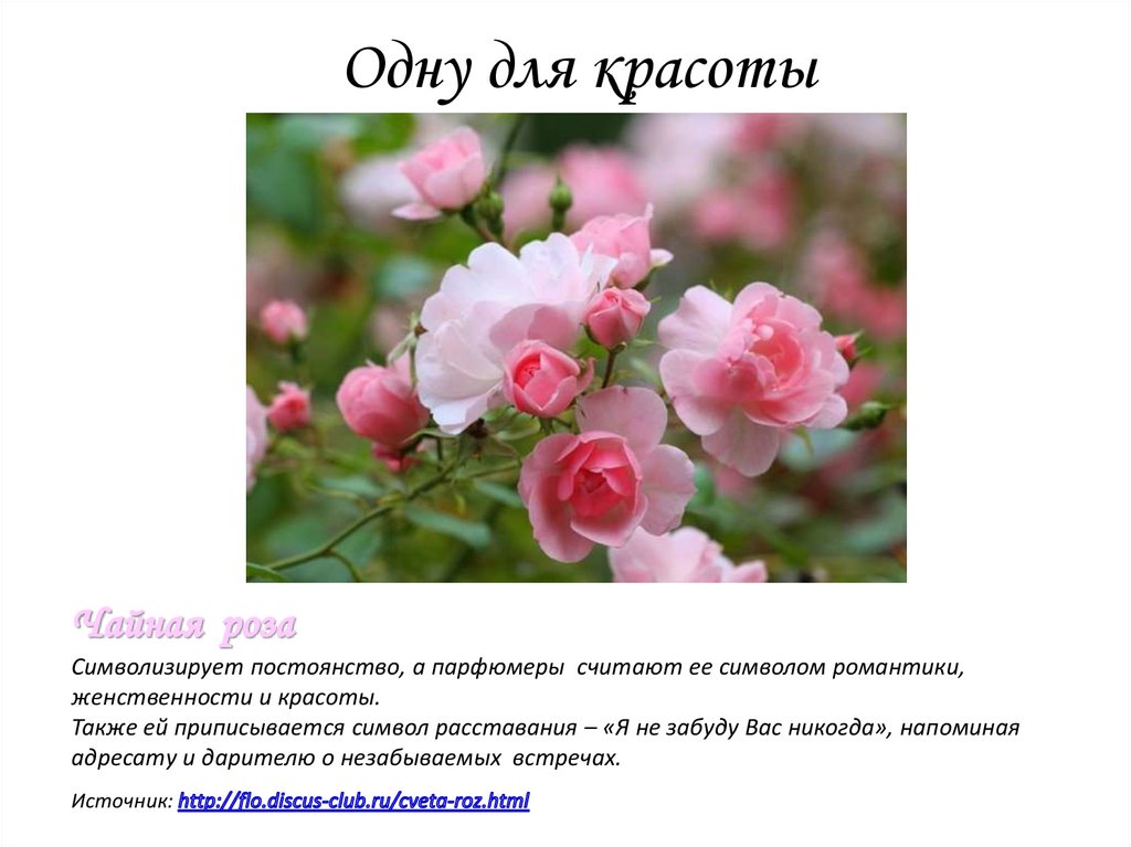 Одну для красоты