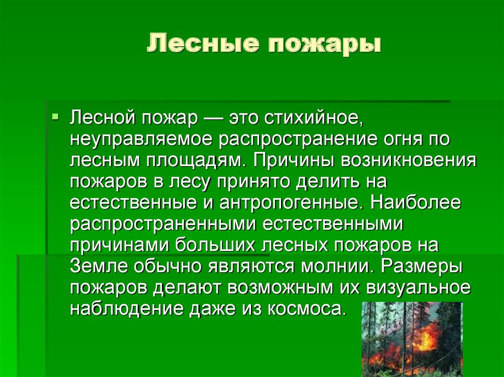 Лесные пожары