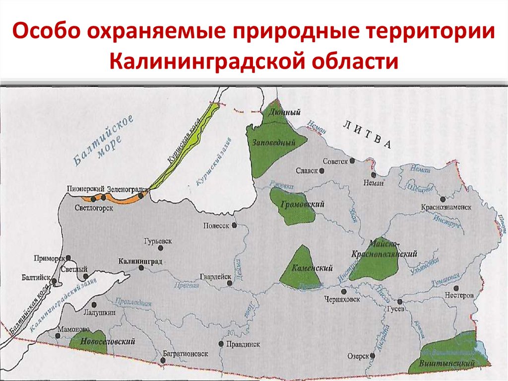 Чем отличается заповедник от национального парка