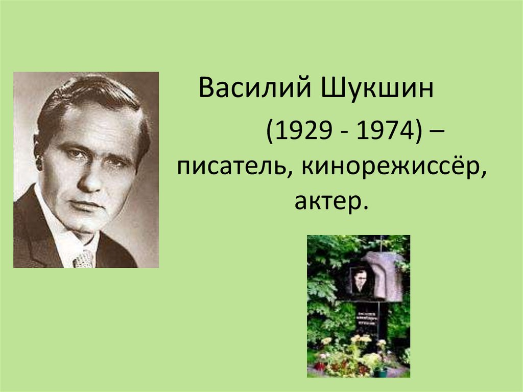 Всю жизнь мою несу родину в душе 5 класс презентация