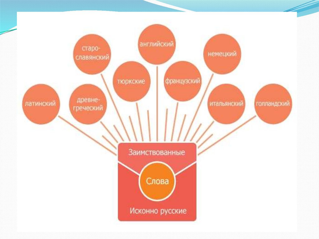 Слова которые пришли из других языков. Заимствованные слова в спорте. Заимствования из латинского языка в русском. Заимствованные слова в спорте. Заимствованные слова в русском языке.