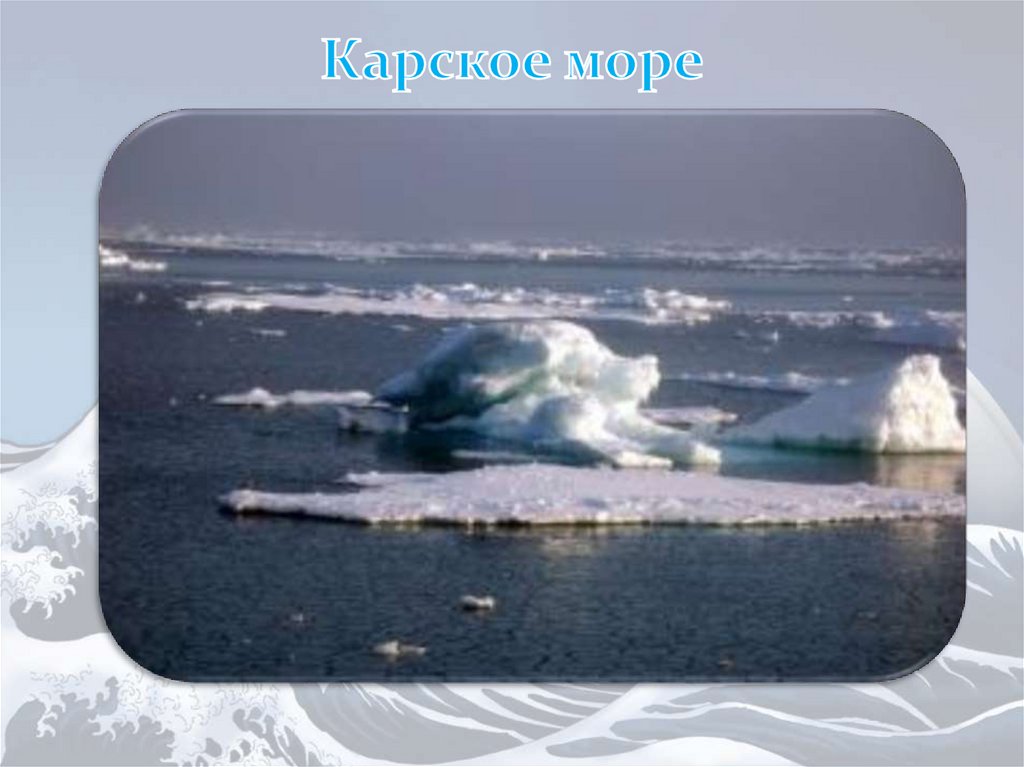 Заливы морей северного ледовитого океана. Карское море презентация. Флаг России на дне Северного Ледовитого океана. Карта глубин Северного Ледовитого океана.