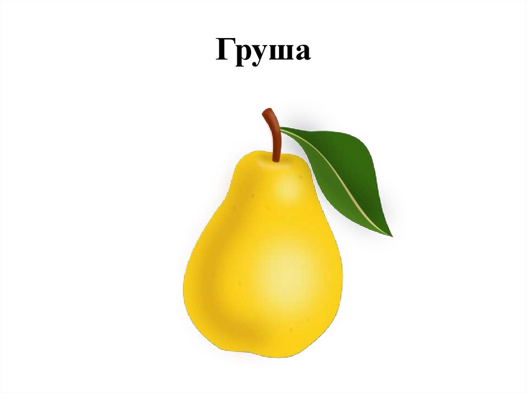 Груша