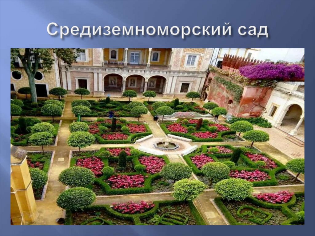 Средиземноморский сад