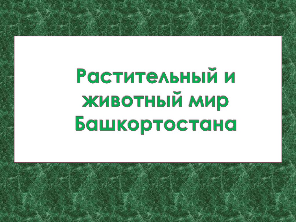 Презентация растительный и животный мир башкортостана