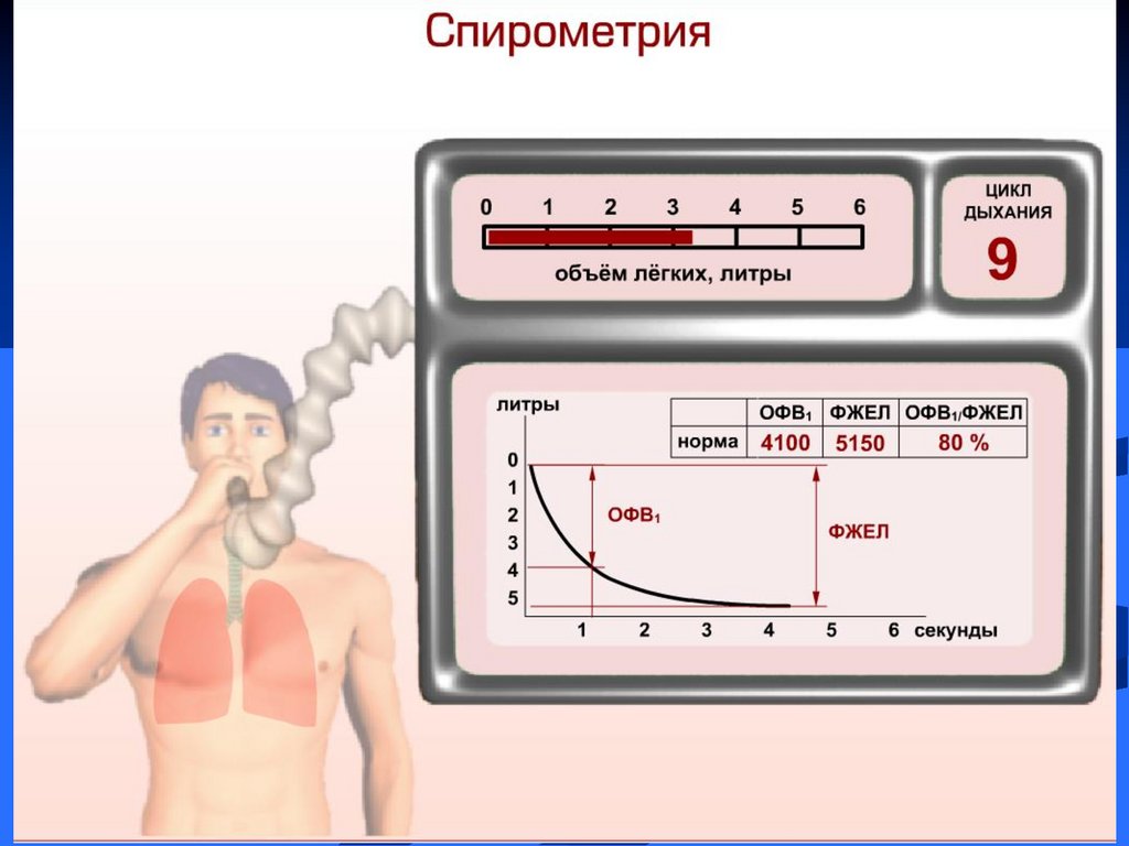 Спирография с сальбутамолом