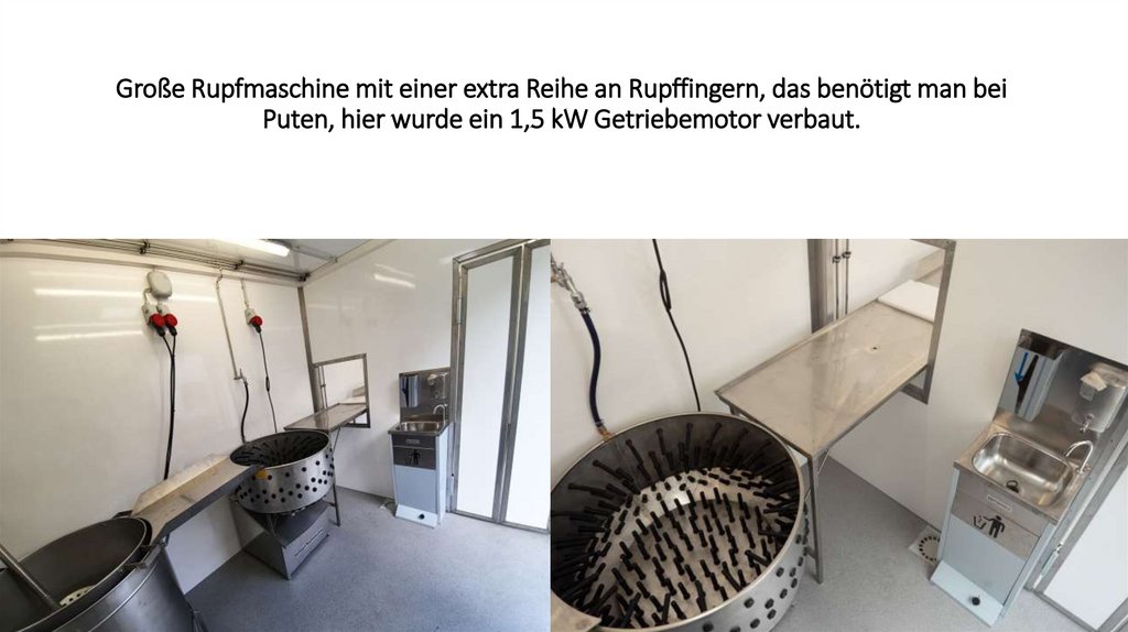 Große Rupfmaschine mit einer extra Reihe an Rupffingern, das benötigt man bei Puten, hier wurde ein 1,5 kW Getriebemotor