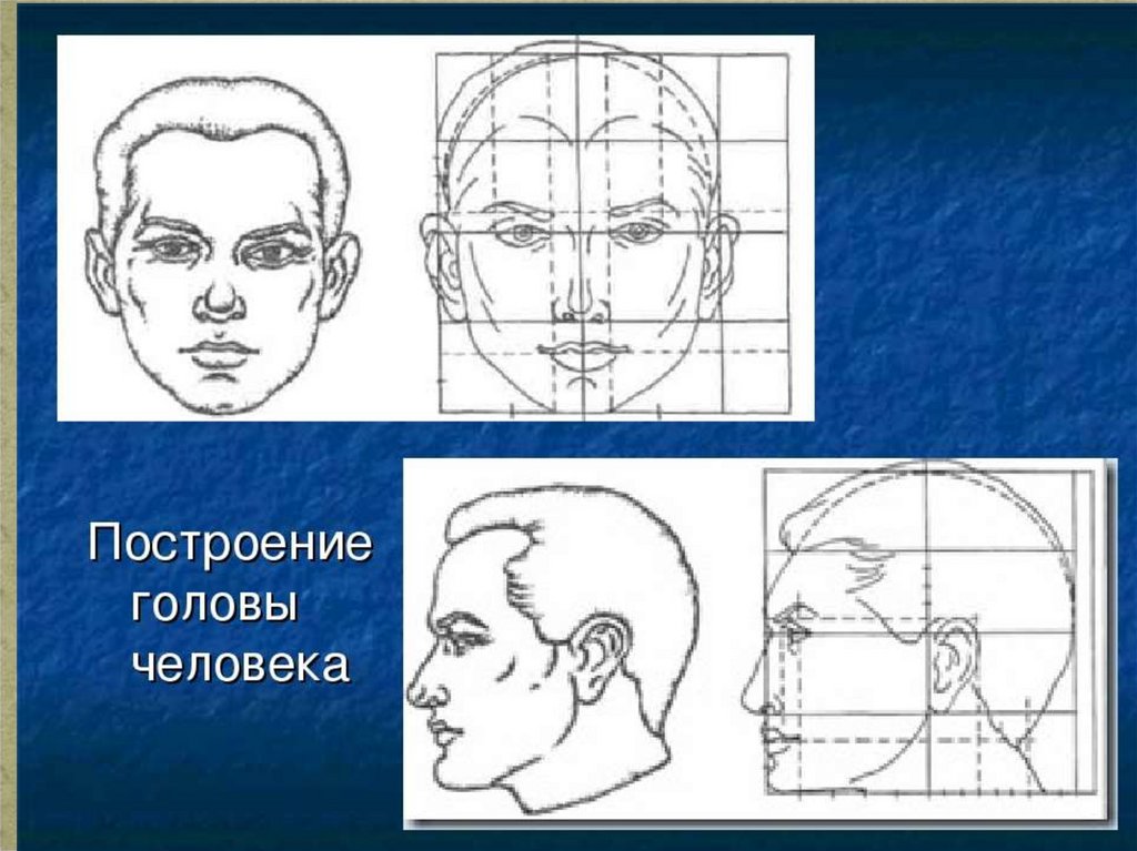 Портрет 6 класс изо. Этапы построения головы человека. Голова человека в простых формах. Рисунок головы человека 6 класс. Образы в голове человека.