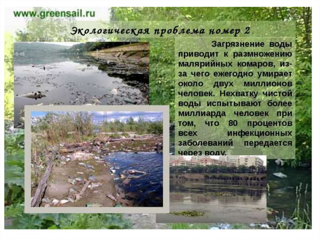 Экология воды презентация