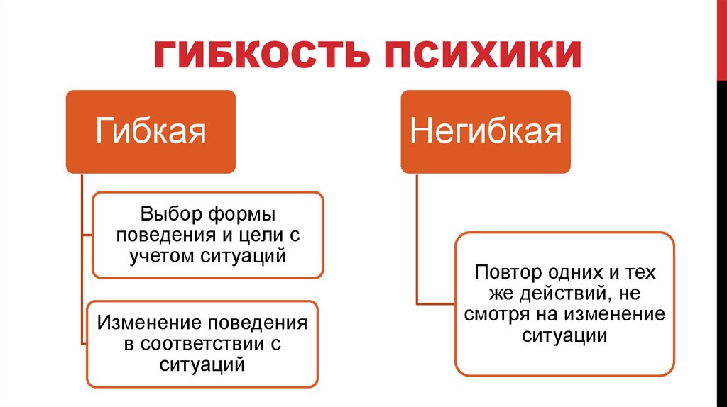 Социально психологическая характеристика личности презентация