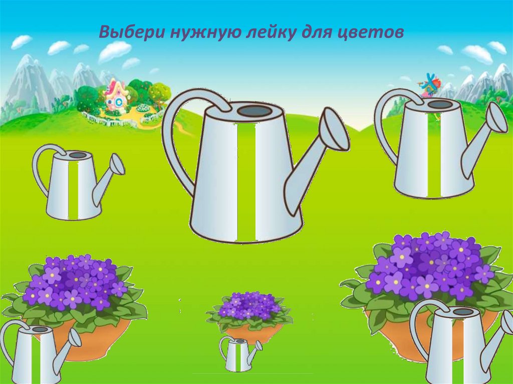 Выбери нужную лейку для цветов