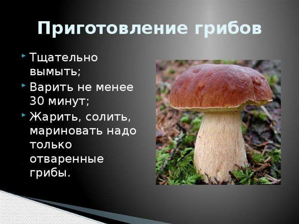 Презентация грибы 5 класс