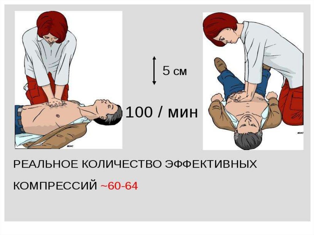 Презентация медицинская подготовка