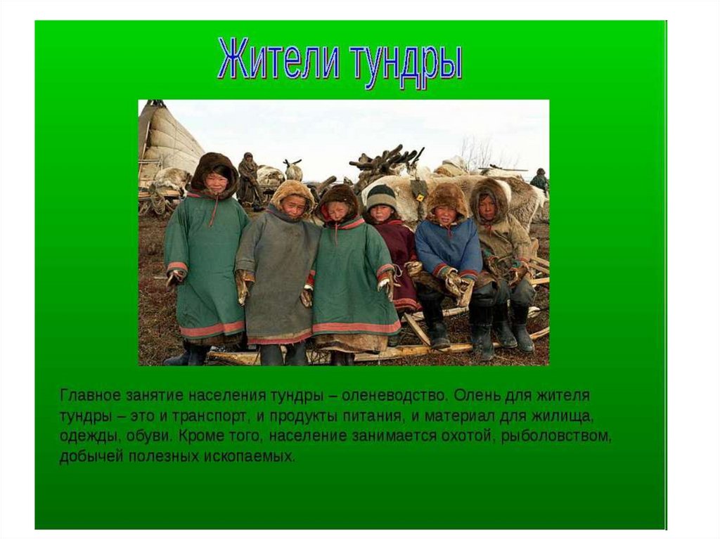 Жизнь и быт людей зоны тундры. Основное занятие населения тундры. Жители тайги люди. Народы тайги. Основные занятия жителей тундры.