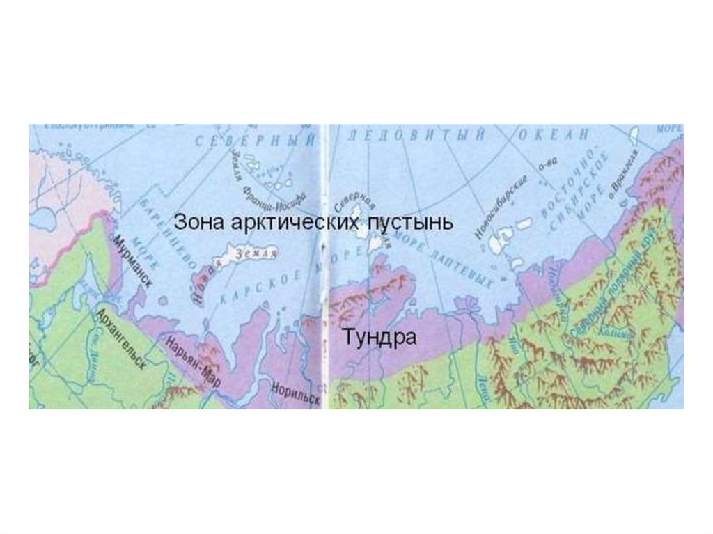 Где на карте арктические пустыни. Зона арктических пустынь на карте. Зона арктической пустыни на карте. Зона арктических пустынь карта России карта. Арктическая пустыня географическое положение на карте.