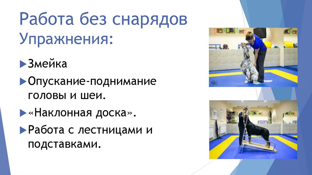 Работа без снарядов Упражнения: