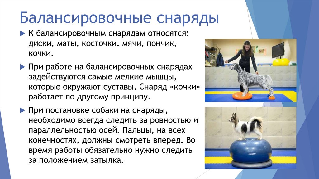 Балансировочные снаряды