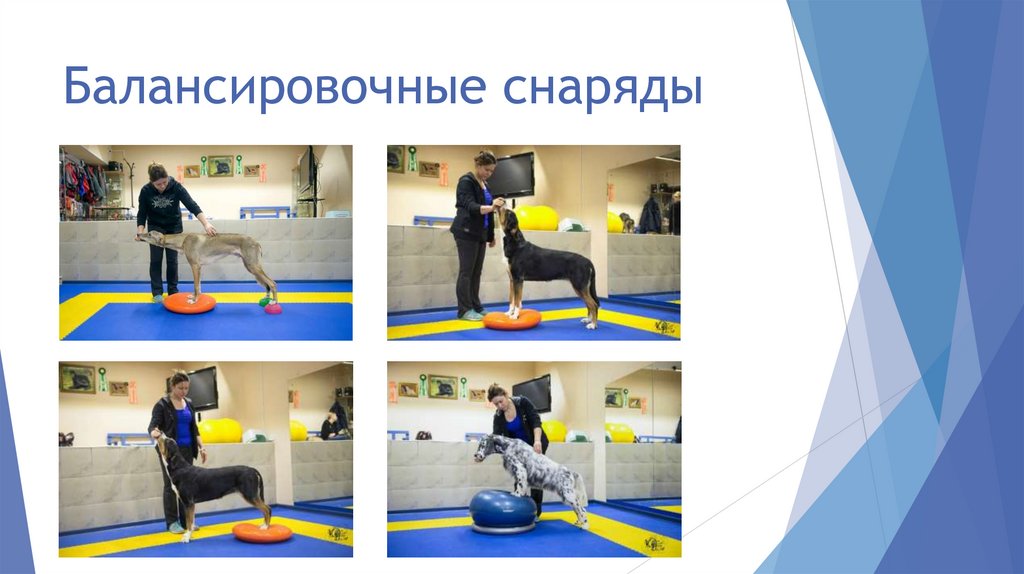 Балансировочные снаряды