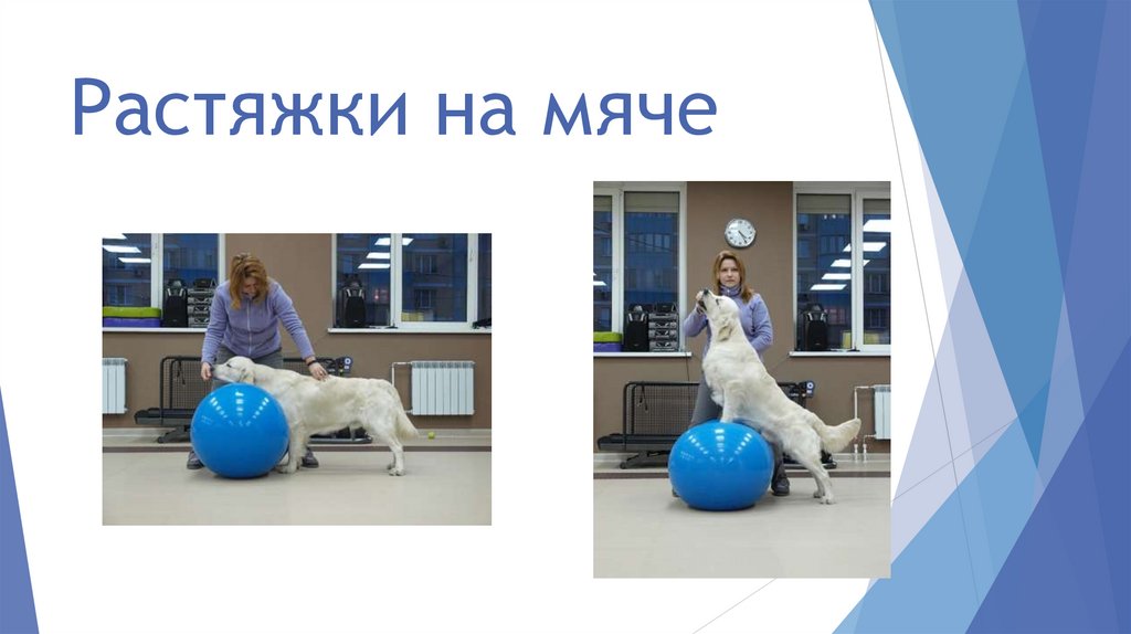 Растяжки на мяче