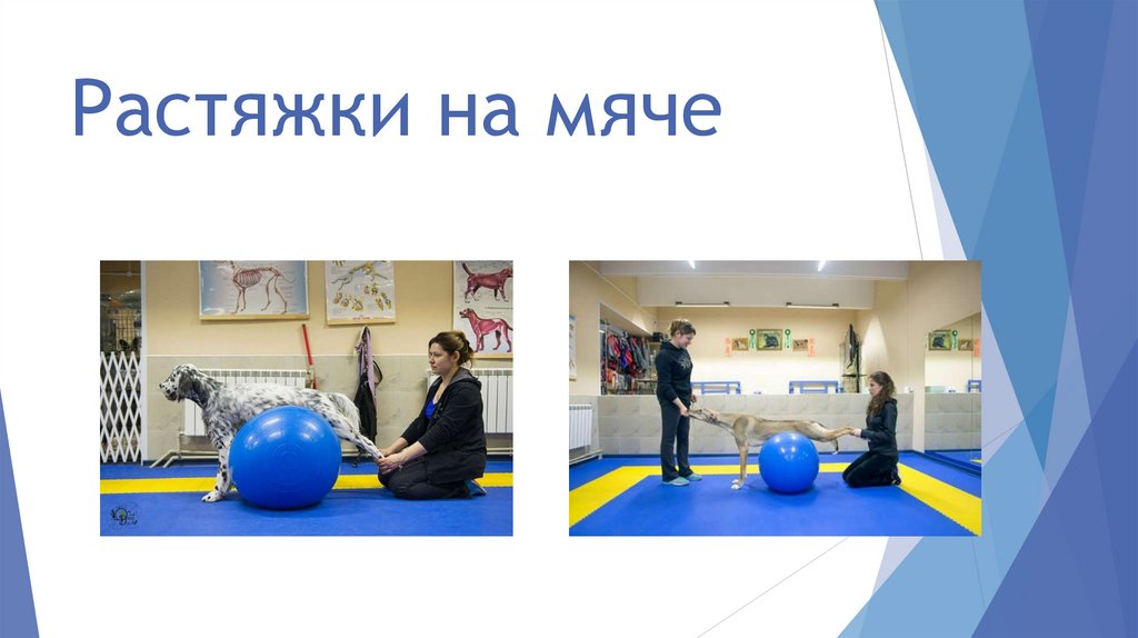 Растяжки на мяче