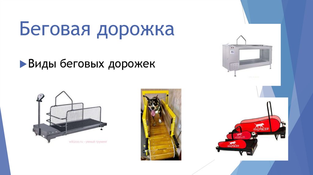 Беговая дорожка