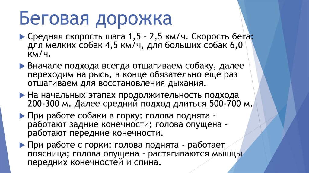 Беговая дорожка