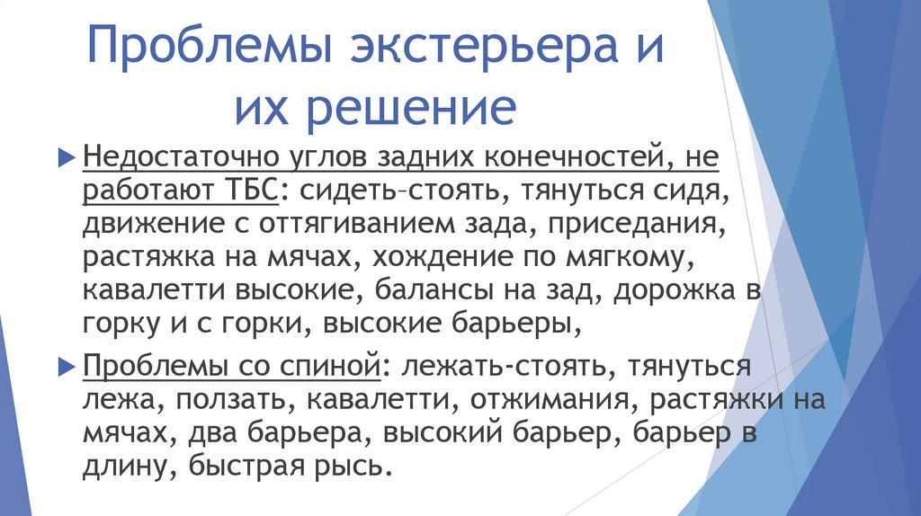 Проблемы экстерьера и их решение