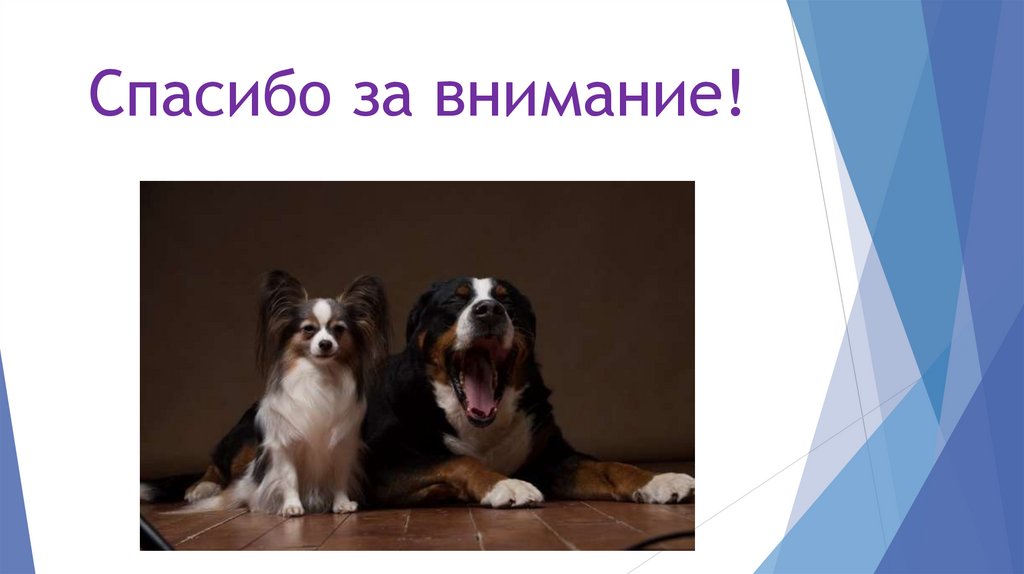 Проблемы экстерьера и их решение