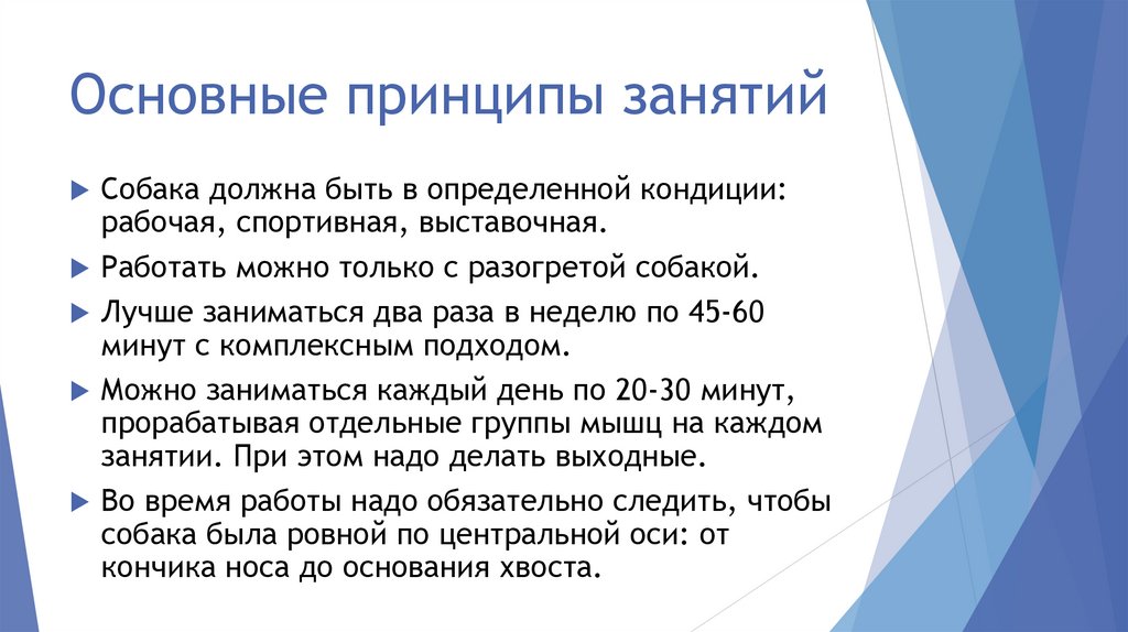 Основные принципы занятий