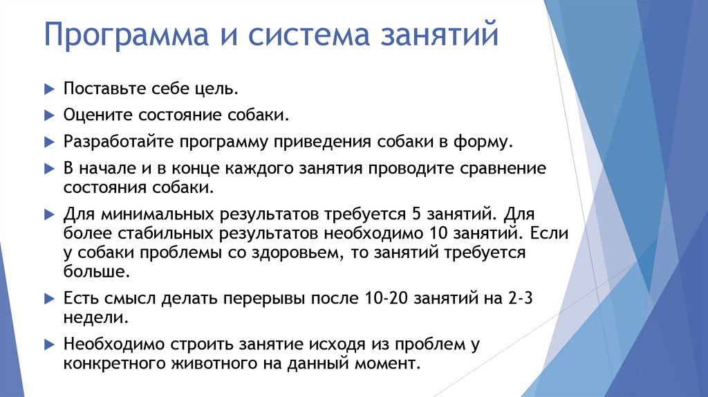 Программа и система занятий