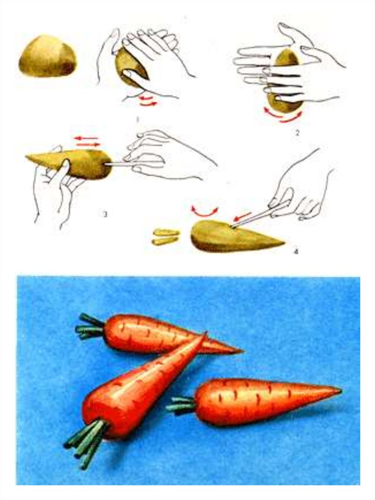 Технологическая карта лепка овощи старшая группа