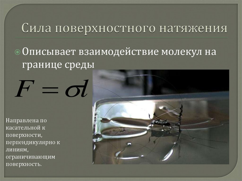 Сила поверхностного натяжения
