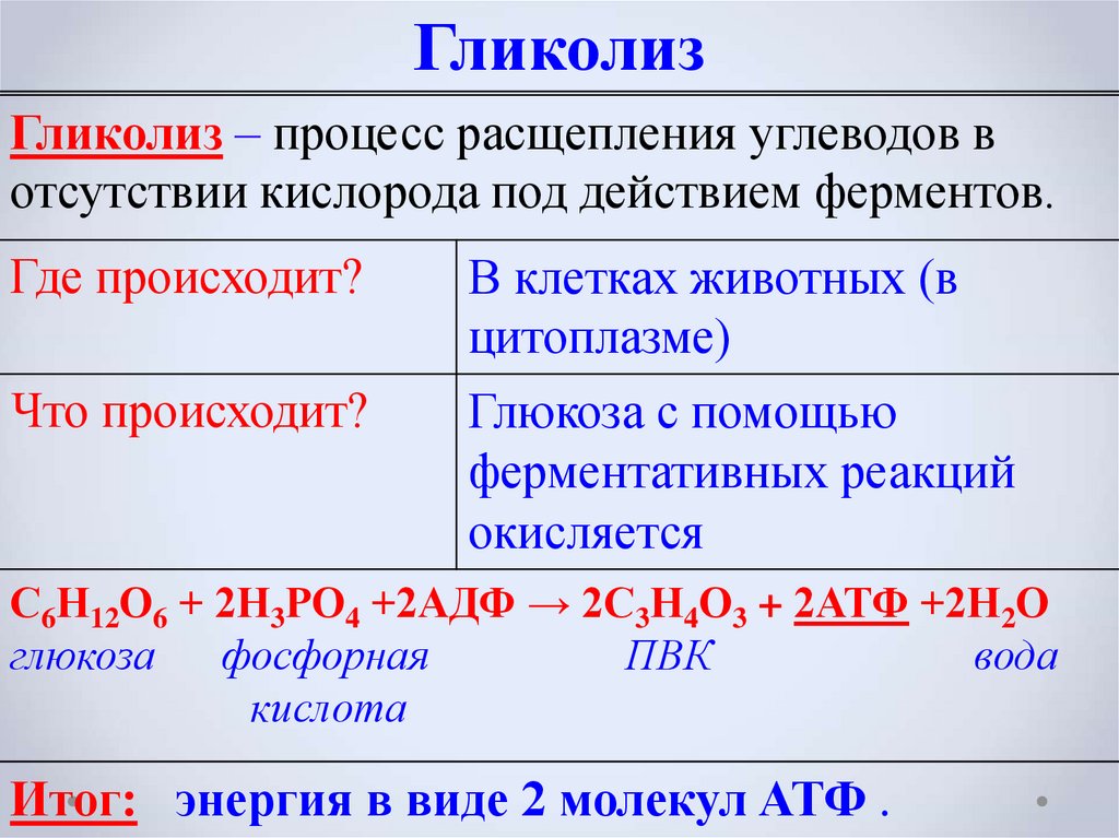 Реакции бескислородного этапа энергетического обмена