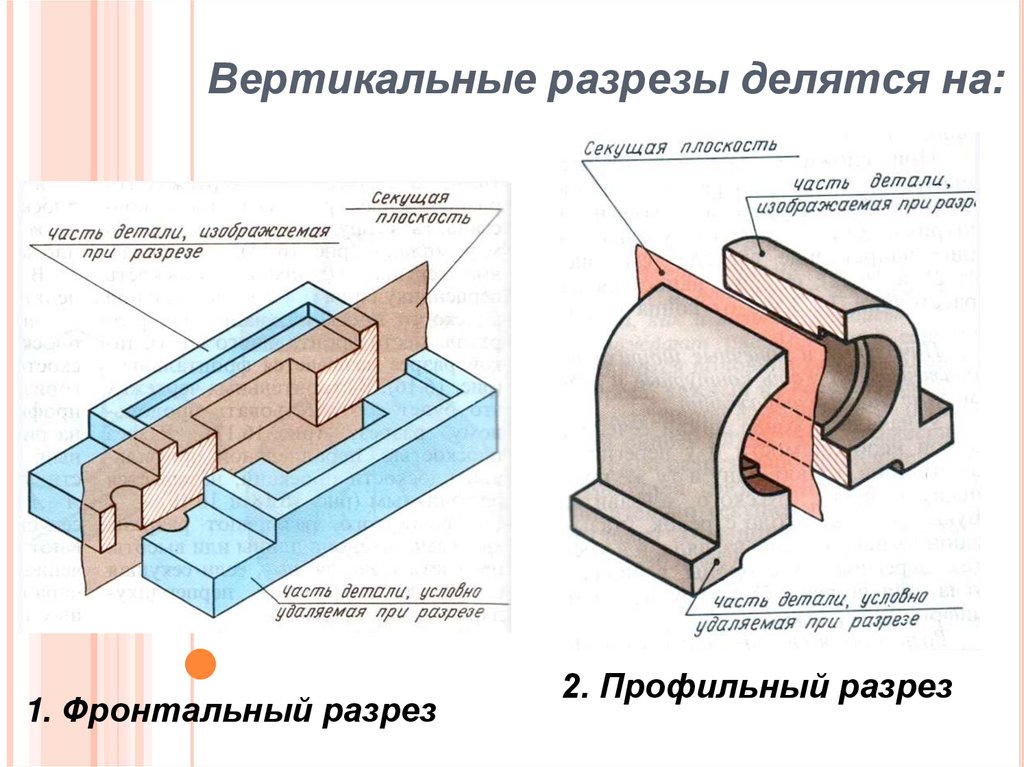 Виды вертикального разреза