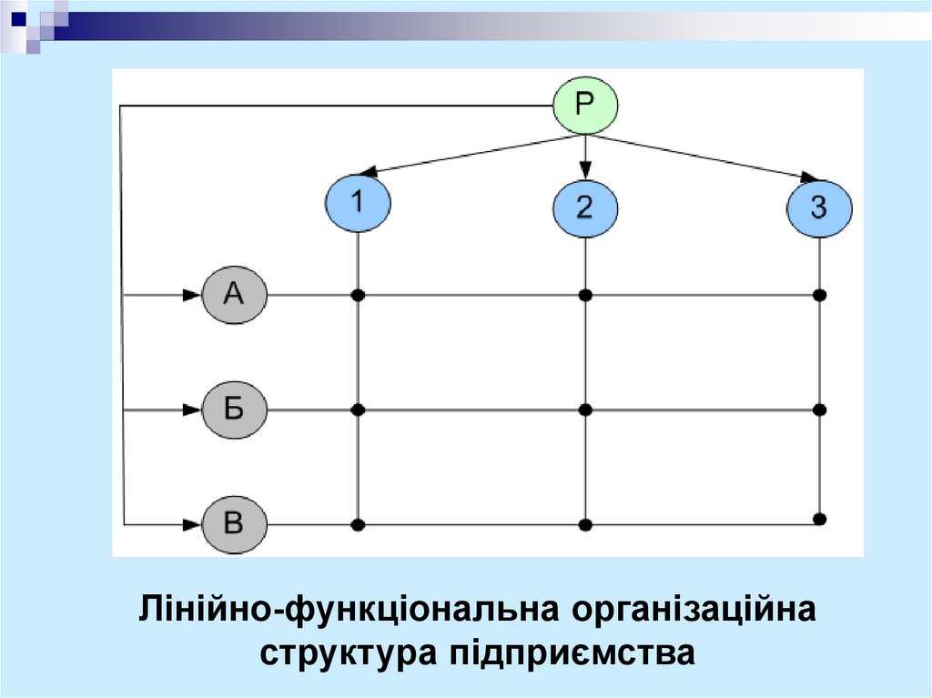 Лінійно-функціональна організаційна структура підприємства