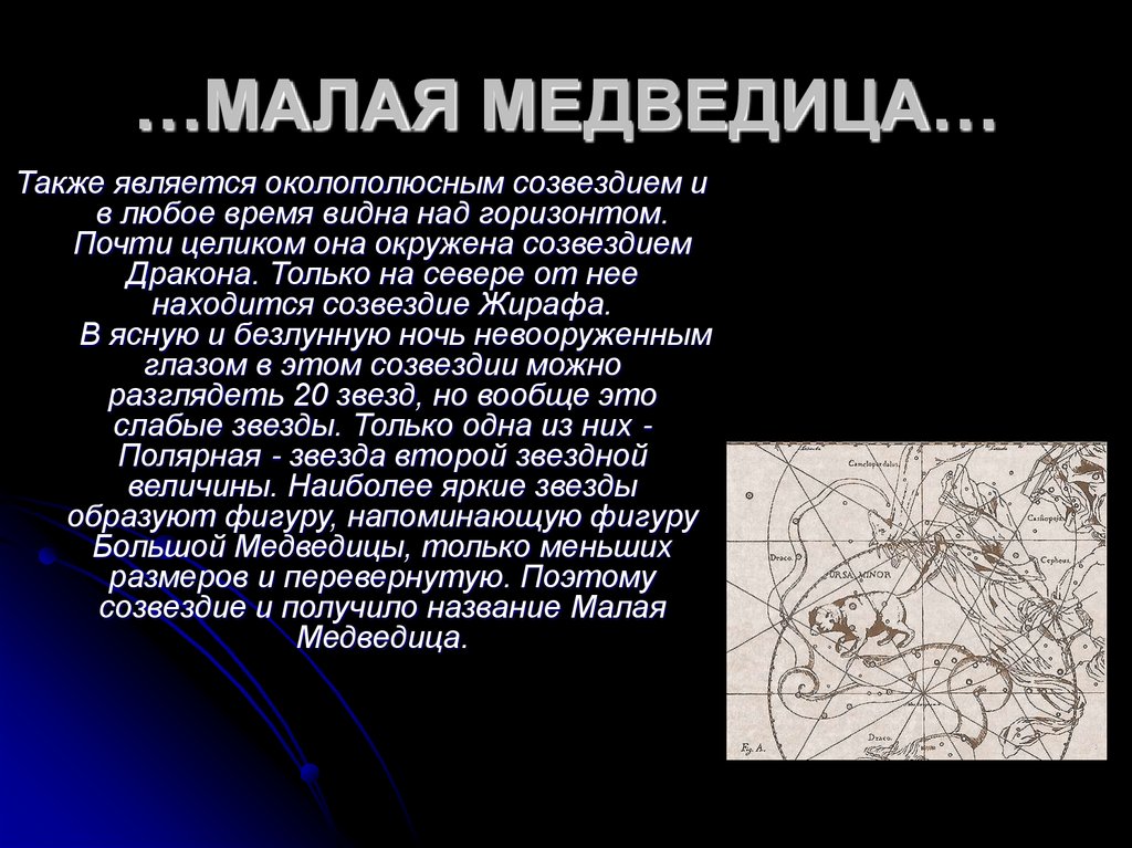 Названия звезд из античной мифологии. Миф о созвездии малая Медведица. Легенда о малой Медведице Созвездие. Миф о созвездии большая Медведица. Легенда о созвездии большая Медведица.