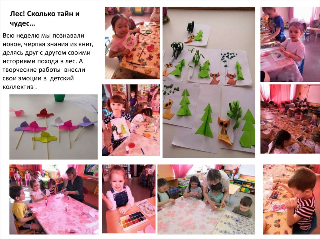 Лес! Сколько тайн и чудес…