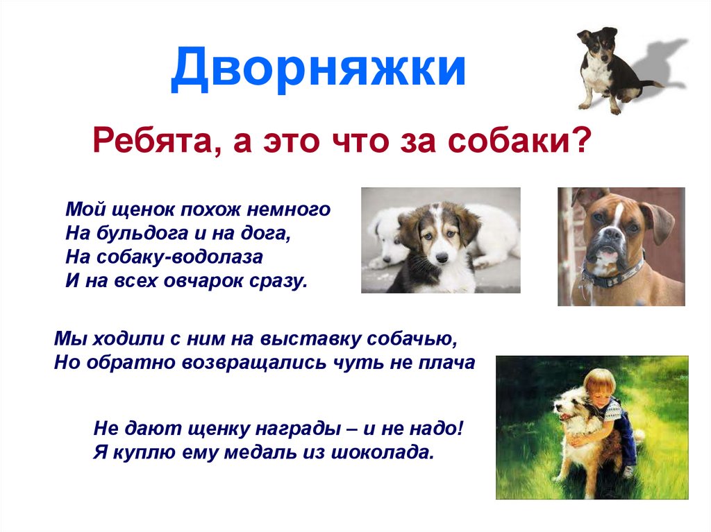 Почему собаку зовут собакой. Презентация собаки наши друзья. Собаки наши верные друзья. Собака друг человека презентация. Проекты про собак интересные.
