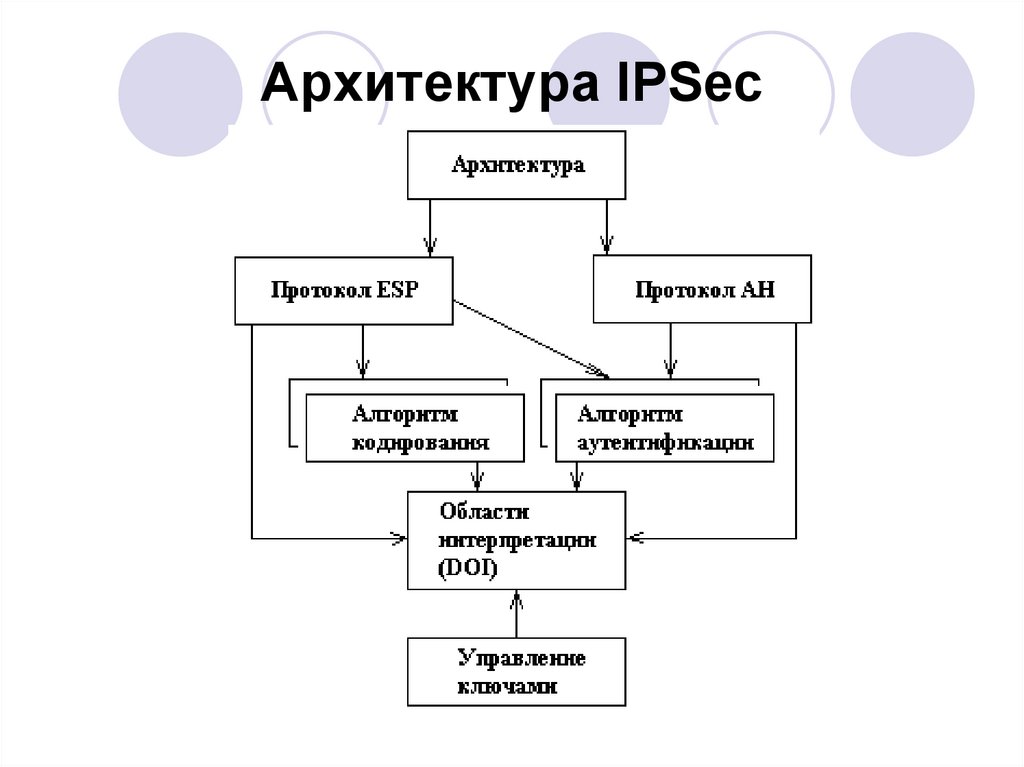 Протокол защиты индивидуальных проектов в 11 классе