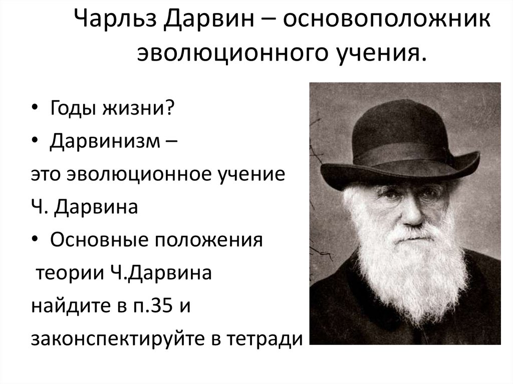 История развития эволюционного учения