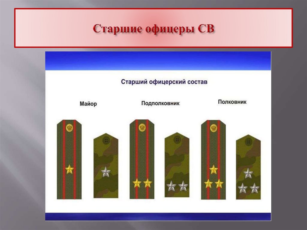Старшие офицеры СВ
