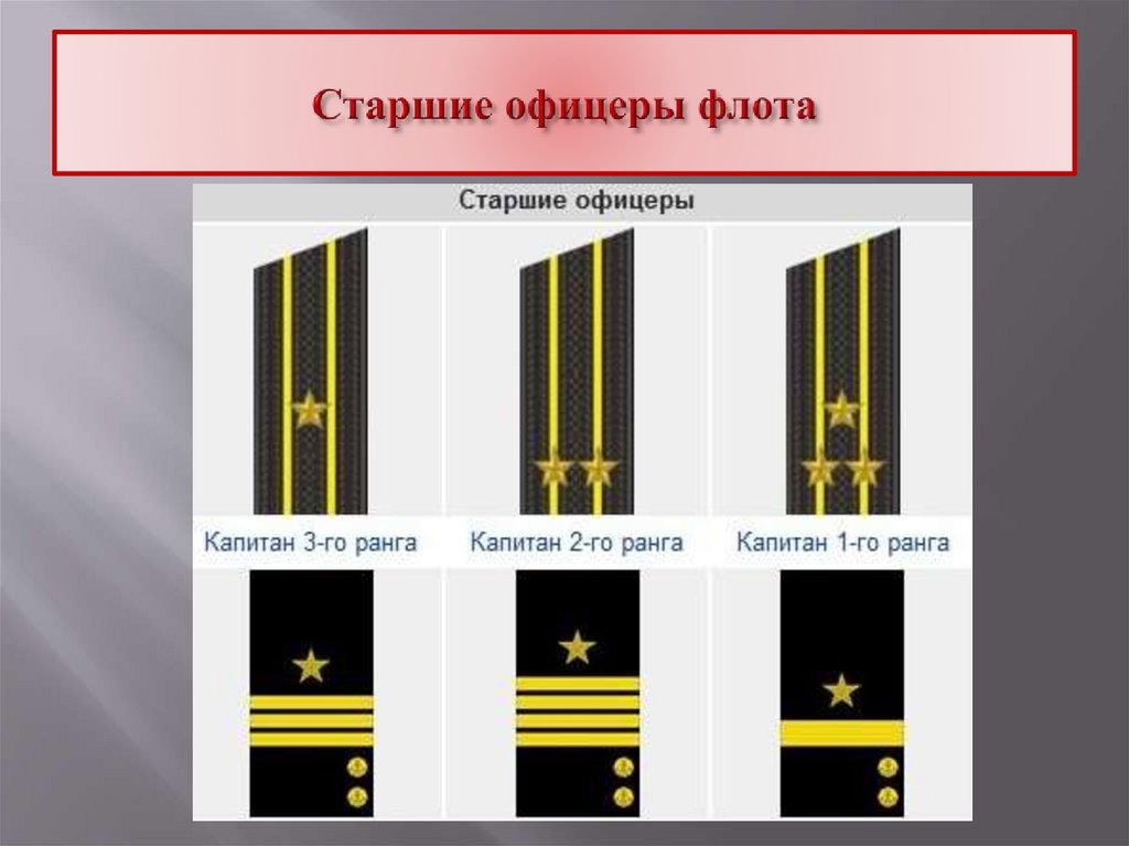 Старшие офицеры флота