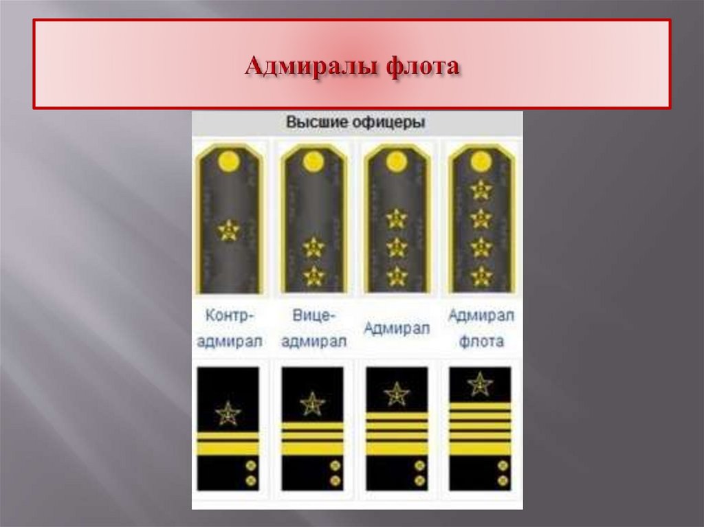 Адмиралы флота