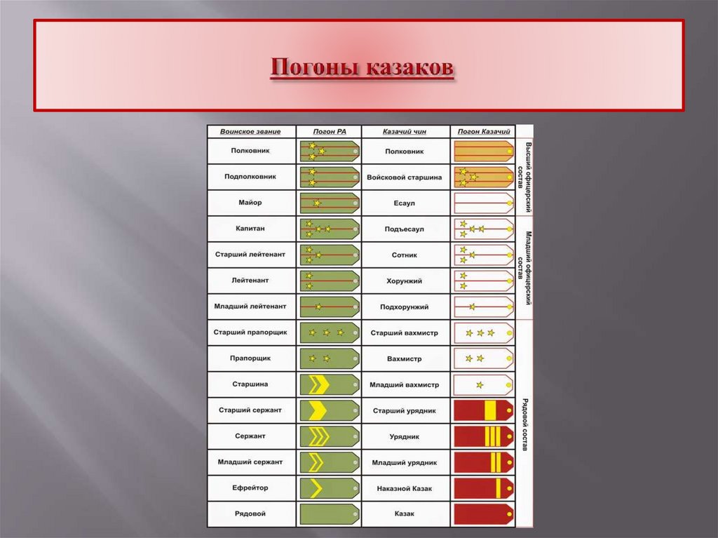 Погоны казаков